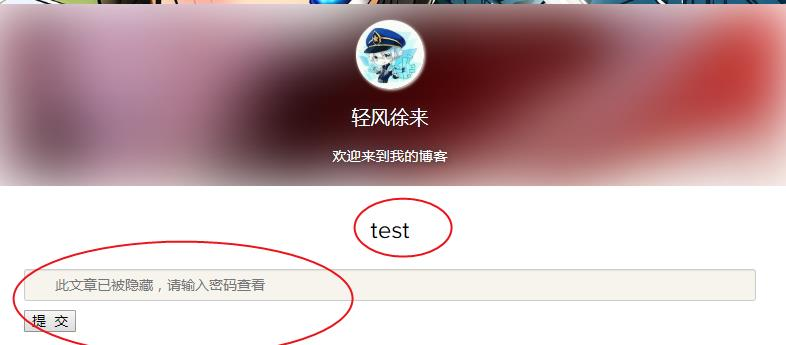 Typecho设置文章密码保护